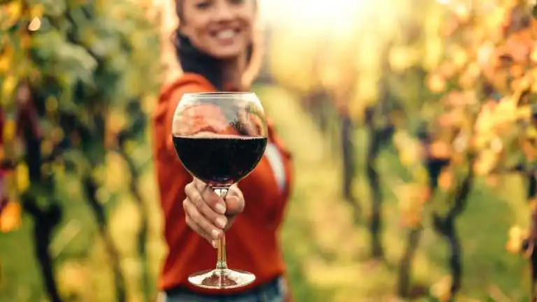 Organic Wines Benefits Tips and Curiosities