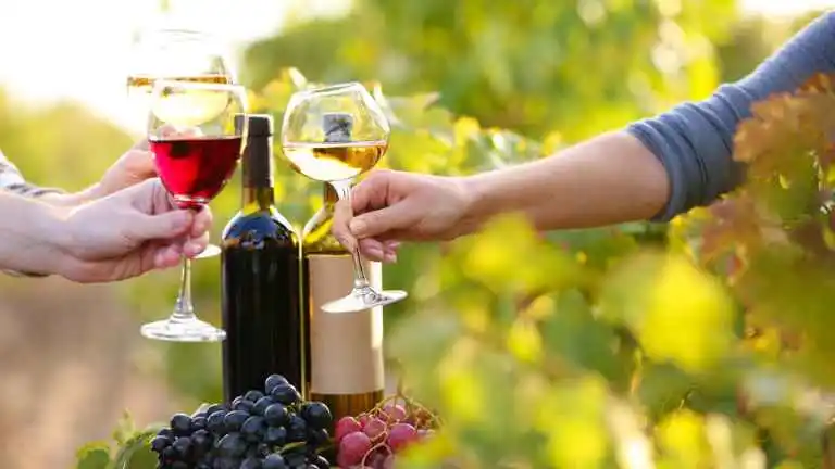 Biodynamic, Natural, and Organic Wines: What's the Difference?