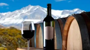 Origin of Malbec Wine